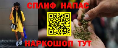 индика Моздок