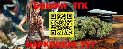 индика Моздок