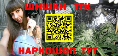 индика Моздок